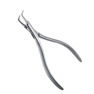 Endodonzia
