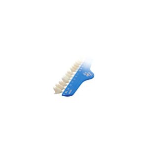 Simulazione endodontica