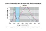 Lampada Esalight — Tecnomed Italia