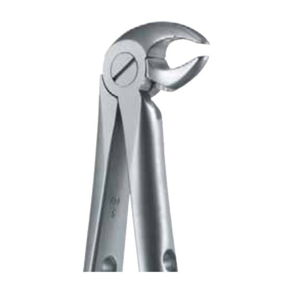 Pinza da estrazione n.13 per premolari arcata inferiore — Helmut Zepf