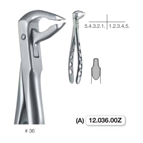 Pinza da estrazione n.36 Twist Ex 3, per denti frontali, arcata inferiore — Helmut Zepf