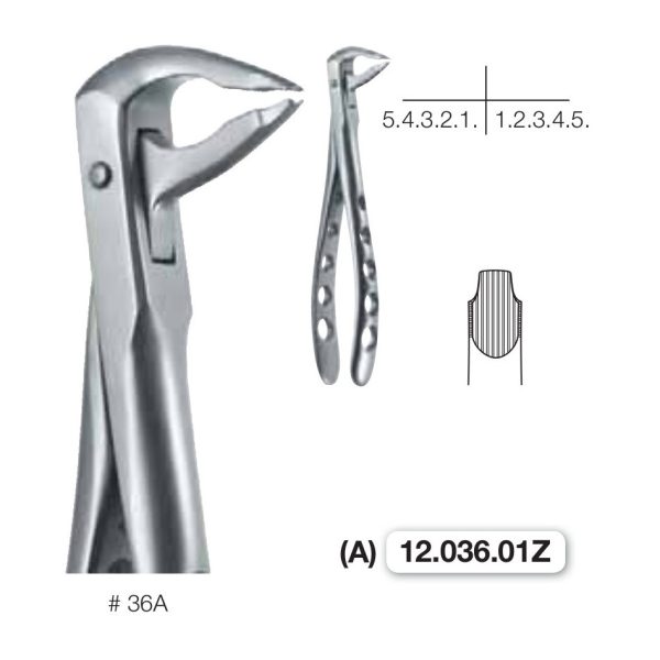 Pinza da estrazione n.36A Twist Ex 4, per denti frontali, arcata inferiore — Helmut Zepf