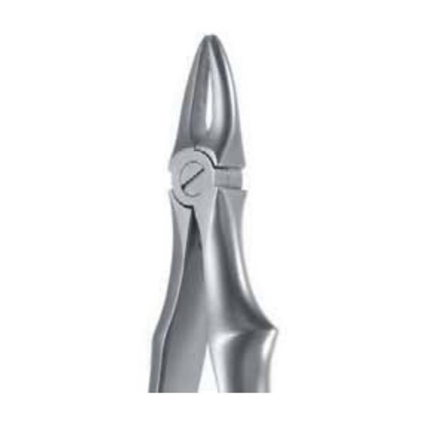 Pinza da estrazione pedodontica n.29, incisivi superiori — Helmut Zepf